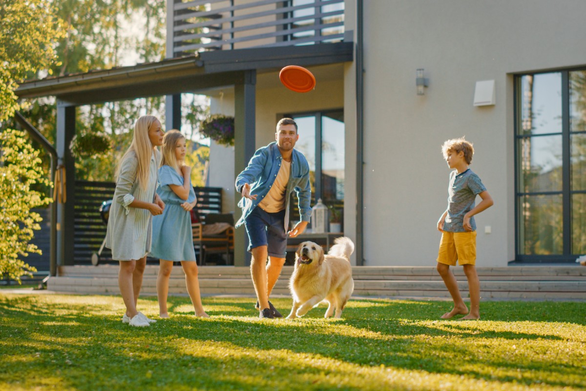 Residential Pest Control